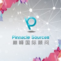 Pinnacle Sources Global Consultancy Inc. logo - Similar company to Summit One Business Solutions, Inc.
