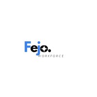 Fejoworkforce logo - Similar company to Fejobs