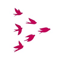 Pirveli · პირველი logo - Similar company to Ray 11