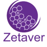Zetaver logo - Similar company to Sam Softsol