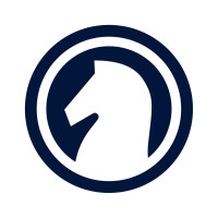 Strategic Alternatives logo - Similar company to Raidian | (Stealth Mode)