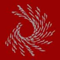 STAD | Marketing in Automotive logo - Similar company to Rolling The City