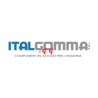 ITALGOMMA S.R.L. logo - Similar company to Mervac