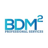 BDM Squared logo - Similar company to Harbor Computer Services