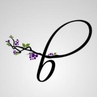 Peachberry logo - Similar company to Intellihealth Co