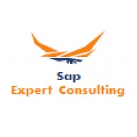 SAP EXPERT CONSULTING logo - Similar company to Acipia