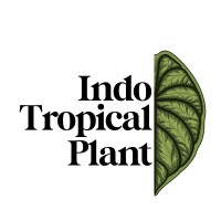 Indo Tropical Plant logo - Similar company to Kamato Design Studio