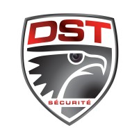 Digital Services Technology logo - Similar company to World Safe Compagny