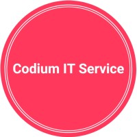 Codium IT Service logo - Similar company to Agentpi-It Service & Solutions