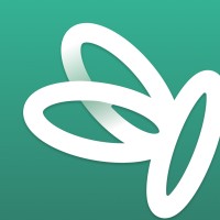Papillon logo - Similar company to Strellastudio
