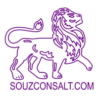 Export Import Investment Souzconsalt.com logo - Similar company to Import Consulting Experts