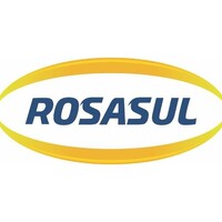 Rosa Sul logo - Similar company to Gtc Internet