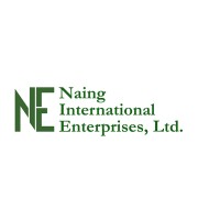 Naing International Enterprises, Ltd. logo - Similar company to Rwn Development Group, Llc