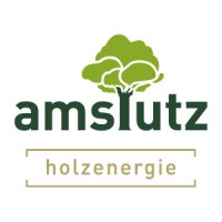 Amstutz Holzenergie AG logo - Similar company to Foscaldi Consulting Gmbh