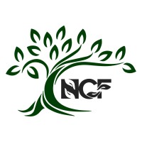 Naptico Chit Fund logo - Similar company to Naptico Services Pvt Ltd