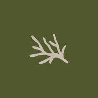 Pilar Patagonia Eventos logo - Similar company to Punta Carrasco S.A.