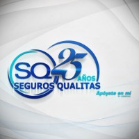 Seguros Qualitas logo - Similar company to Cavedatos