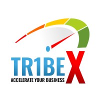 Tr1beX logo - Similar company to Integra-Peak Management