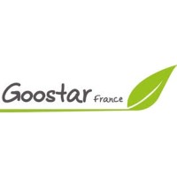 GOOSTAR FRANCE logo - Similar company to Goostar