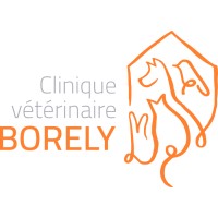 Clinique vétérinaire Borely logo - Similar company to Fun Service Composite