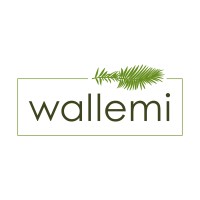 Wallemi