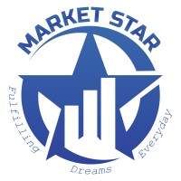 Market Star Securities Pvt Ltd logo - Similar company to Replete Equities