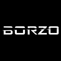 Borzo, LLC logo - Similar company to Borzo México