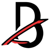 Bird View Investigation Services logo - Similar company to Digiverifier