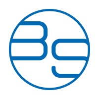 BS software development logo - Similar company to Ferendin Engineering Gmbh
