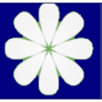 Naumur Cameroun logo - Similar company to Feuzesolutions