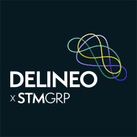 Delineo - now rebranded as STM AGENCY logo - Similar company to Stm Agency