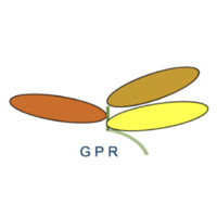 PT Gema Pribumi Raya logo - Similar company to Hema Creative