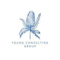 Young Consulting Group logo - Similar company to Coastrek