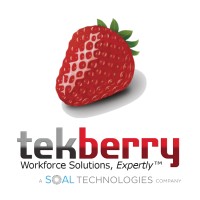 Tekberry, Inc. logo - Similar company to Techtonic Solutions
