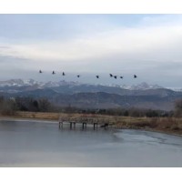 Boulder Open Space logo - Similar company to Revivery
