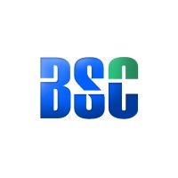 Business Spring Consulting (BSC) logo - Similar company to Reezytech