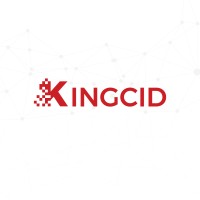 Kingcid Studio logo - Similar company to Teamq