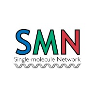 Single Molecule Network logo - Similar company to Single Molecule Biophysics Group - Ak Heilemann