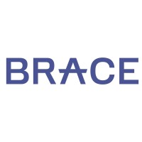 Brace Underwriting logo - Similar company to Ambac