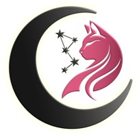Nour Digital Agency logo - Similar company to Kaizen Cleaning Solutions Llc