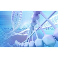 Diagnostics Group logo - Similar company to Pepleroptics