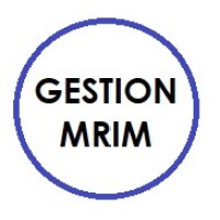 Gestion Mrim Inc