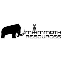 Mammoth Resources logo - Similar company to Petroleum Solutions And Technology