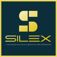 SILEX - Collectif de Transformation Stratégique des Entreprises logo - Similar company to Psb Conseils