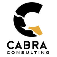 Cabra Consulting Ltd. logo - Similar company to Source Geosteering