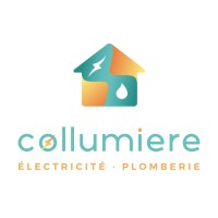 collumiere logo - Similar company to Aptalu