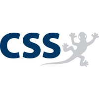 CSS AG logo - Similar company to Css