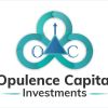 Opulence Capital Investments Ltd logo - Similar company to Vapzer Llc