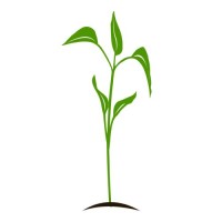 everyseed logo - Similar company to Deltachem
