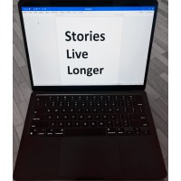 Fiction Writer logo - Similar company to Rao Strategic Solutions Inc.: Consulting | Training